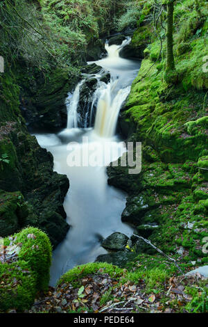 Afon Cynfal Cynfal Ceunant qui passe par la réserve naturelle nationale pour le sud de l'Llanffestiniog  dans le Nord du Pays de Galles.( couleur corrigée) Banque D'Images