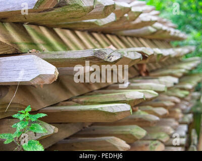 Vue en perspective d'une pile de planches de bois brut pour clôture en bois en milieu rural. Banque D'Images