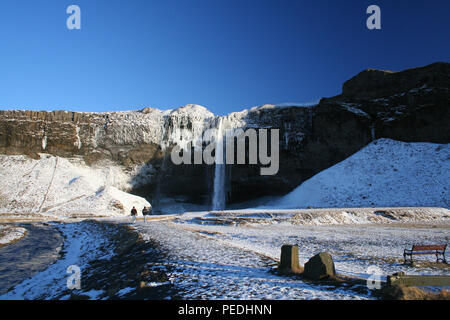 Cascade de Seljalandsfoss en hiver, l'Islande Banque D'Images