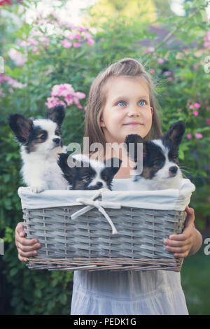 Une fille est maintenant un panier de chiots Banque D'Images