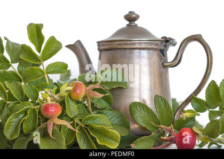 Retro pewter antique, à l'ancienne couleur argent avec une théière rouge maison Wild rose rose-thé médicinal pour la santé des hanches sur un fond blanc, guéris Banque D'Images