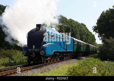 4492 Dominion de la Nouvelle-Zélande nr Harmens Croix sur le chemin de fer Swanage 11.9.11 Banque D'Images