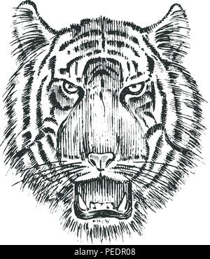 Tigre sauvage japonais. Cat des animaux d'Asie. Profil du dirigeant ou du visage. Art de tatouage. Dessinés à la main, gravée dans old vintage croquis. Vector illustration surréaliste, badges, impression de t-shirt. Illustration de Vecteur