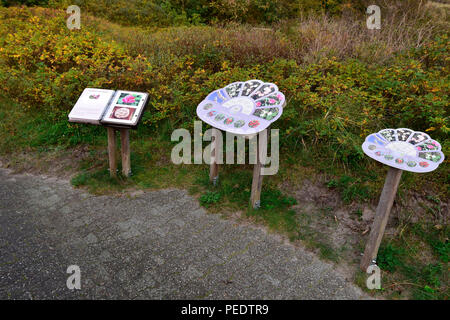 Otto Leege chemin, sentier éducatif, roseraie, Parc National de Juist, mer des Wadden, Basse-Saxe, Allemagne, l'île de la Frise Orientale Banque D'Images