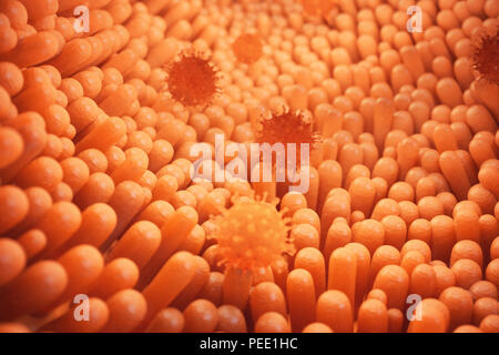 3d illustration villosités intestinales. Doublure de l'intestin. Les villosités microscopiques et capillaire. Les droits de l'intestin. L'infection virale causant des maladies chroniques. Hepatit Banque D'Images