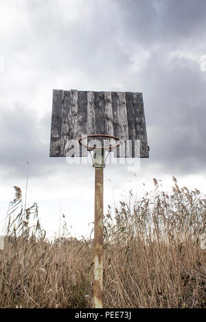 Ancien panneau de basket-ball et basket. Panneau de basket-ball déserte sur un fond d'arbres. Banque D'Images