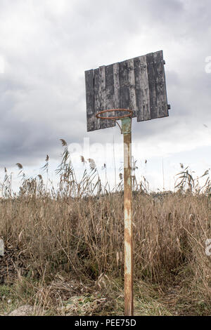 Ancien panneau de basket-ball et basket. Panneau de basket-ball déserte sur un fond d'arbres. Banque D'Images