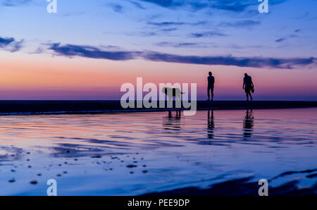 La silhouette du couple en train de marcher le chien sur la plage au coucher du soleil avec des reflets dans l'eau, Noordwijk, Pays-Bas - avec copie espace. Photos prises le Banque D'Images