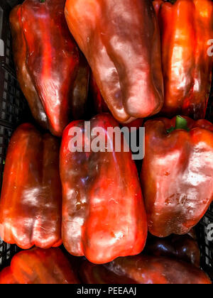 Pile de poivrons au marché Banque D'Images