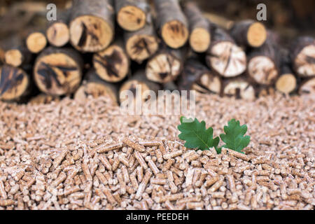 Beaucoup de biomasse en chêne - tas de bois, les feuilles et les pellets Banque D'Images