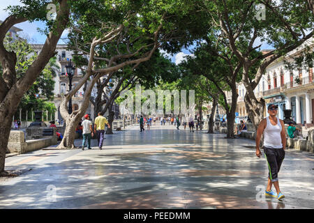 Les gens qui marchent sur le Paseo del Prado, Paseo de Marti, boulevard populaires dans Habana Vieja, La Havane, Cuba Banque D'Images