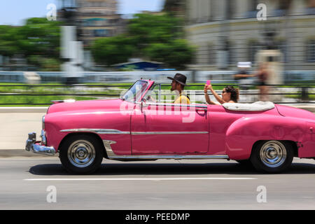 Woman taking photos équitation dans une voiture décapotable rose American Classic, vintage visites funin Paseo Prado, La Havane, Cuba Banque D'Images