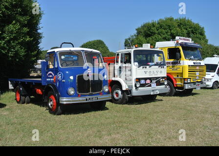 Une ligne de camions classique sans rouler sur l'affichage à Torbay, juste à vapeur Churston, Devon, Angleterre, Banque D'Images