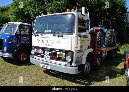 En 1979, un camion Volvo F7-31 de Castor (à droite) stationné à côté d'un camion à plateau 1956 Mercure AEC (gauche) à Torbay, juste à vapeur Churston, Devon, Angleterre. Banque D'Images