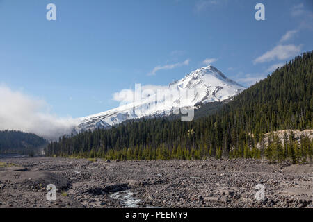 La neige et les glaciers Mount Hood près de Portland en Oregon se détache sur un ciel bleu et vert forêt. Image réalisée à partir de la plaine inondable de la Rivière Blanche. Banque D'Images