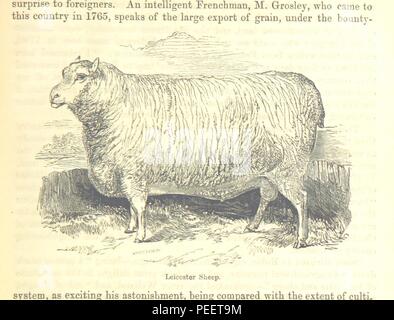 Image prise à partir de la page 39 de "l'histoire populaire de l'Angleterre' Banque D'Images