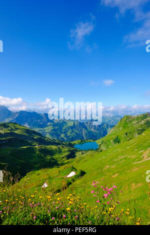 Lake Seealpsee, vue depuis le Zeigersattel sur le mont Nebelhorn, Alpes d'Allgäu, Oberstdorf, Oberallgäu, Allgäu, souabe, Bavière Banque D'Images