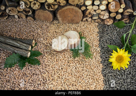 L'énergie renouvelable - pelets faites de différents matériaux reneable- chêne, pin, tournesol Banque D'Images