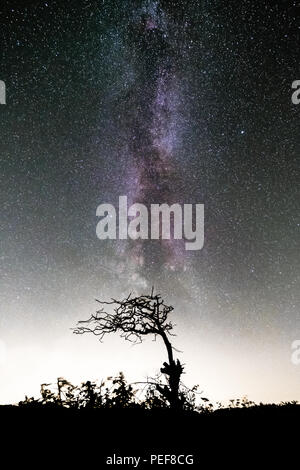 Beaucoup d'étoiles et la Voie Lactée magnifique le ciel sombre au-dessus de paysages du Nord Yorks Moors Banque D'Images