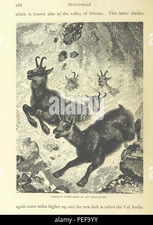 Image prise à partir de la page 308 de «suisse, ses montagnes, lacs et vallées. ... Avec des illustrations. Nouvelle édition revue et corrigée" Banque D'Images