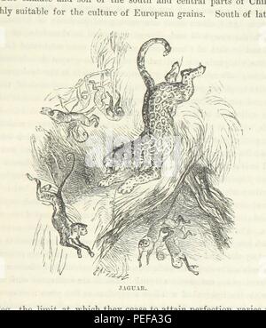 Image prise à partir de la page 329 de "l'Amérique d'or. Une histoire de grandes découvertes et l'audace des actes. Illustré, etc' Banque D'Images