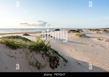 Plage sur la côte du golfe du Texas au lever du soleil Banque D'Images