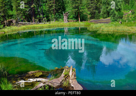 Geyser bleu incroyable Lake dans les montagnes de l'Altaï, en Russie. Lac turquoise unique avec une eau cristalline et circulaire ovale divorces, dont tous les t Banque D'Images
