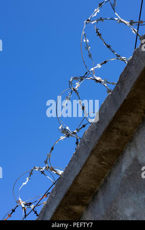 Rouleaux de barbelés avec crampons sur un mur de béton en position verticale dans le ciel bleu en arrière-plan Banque D'Images