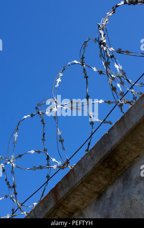 Rouleaux de barbelés avec crampons sur un mur de béton en position verticale libre Banque D'Images