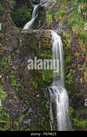 Kitekite Falls, Waitakere Ranges Regional Park, North Island, New Zealand Banque D'Images