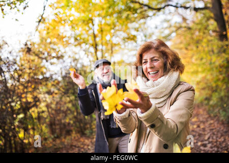 Couple en promenade dans une forêt, dans une nature d'automne, la tenue des feuilles. Banque D'Images