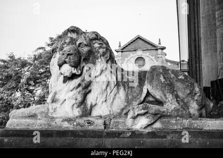 Les Lions à l'extérieur, l'Hôtel de ville de Leeds, Headrow, Leeds, West Yorkshire, Royaume-Uni Banque D'Images