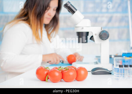 Les tomates dans l'inspection de la qualité lab Banque D'Images