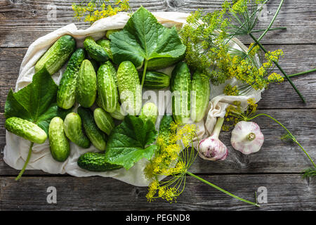 Décapage Préparation du concombre. L'ail et l'aneth. Des concombres et des épices, des légumes fraîchement récoltés à des saisons de préservation. Banque D'Images