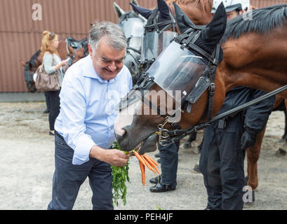 Duisburg, Allemagne. Août 15, 2018. Herbert Reul (CDU), Ministre de l'Intérieur de Rhénanie du Nord-Westphalie, est de nourrir un cheval au cours d'une visite à l'État de Rhénanie relais équestre. Le ministre est informé des travaux, des opérations et de la formation de cavaliers de la police. Credit : Christophe Gateau/dpa/Alamy Live News Banque D'Images