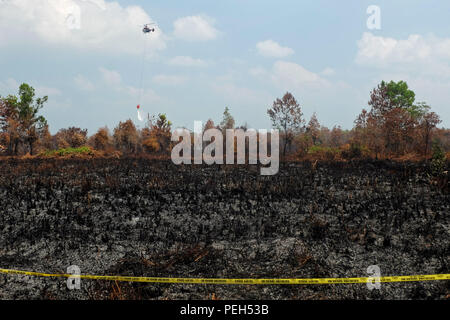 Pekanbaru, Riau, l'Indonésie. Août 15, 2018. Hélicoptères de l'Agence nationale de gestion des catastrophes indonésiennes (BNPB) sont considérés la lutte contre les incendies de tourbières éteint dans le district de Kampar, dans la province de Riau, Indonésie.Selon l'Indonésie, météorologie, climatologie et géophysique (agence) BMKG, hotspots ont été également observés dans d'autres provinces à Sumatra comme à Lampung 1 hotspot, dans le Nord de Sumatra 14 hotspots, dans l'Ouest de Sumatra 13 hotspots et points d'2 dans le sud de Sumatra. Les tourbières incendies qui se sont produits dans la région de Sumatra en raison de la saison sèche. Credit : ZUMA Press, Inc./Alamy Live News Banque D'Images