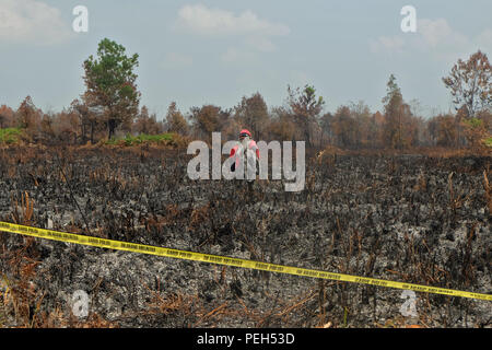 Pekanbaru, Riau, l'Indonésie. Août 15, 2018. Agni Manggala, feu de forêt Ministère Ministère indonésien des forêts et de l'environnement sont des tourbières en feu vu tirer un feu dans le district de Kampar, dans la province de Riau, Indonésie.Selon l'Indonésie, météorologie, climatologie et géophysique (agence) BMKG, hotspots ont été également observés dans d'autres provinces à Sumatra comme à Lampung 1 hotspot, dans le Nord de Sumatra 14 hotspots, dans l'Ouest de Sumatra 13 hotspots et points d'2 dans le sud de Sumatra. Les tourbières incendies qui se sont produits dans la région de Sumatra en raison de la saison sèche. Credit : ZUMA Press, Inc./Alamy Live News Banque D'Images