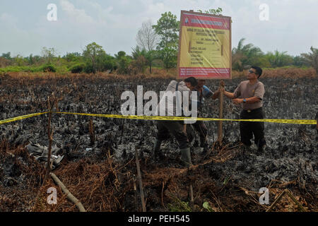 Pekanbaru, Riau, l'Indonésie. Août 15, 2018. Les scellés de la police pour des tourbières en feu d'une enquête dans le district de Kampar, dans la province de Riau, Indonésie.Selon l'Indonésie, météorologie, climatologie et géophysique (agence) BMKG, hotspots ont été également observés dans d'autres provinces à Sumatra comme à Lampung 1 hotspot, dans le Nord de Sumatra 14 hotspots, dans l'Ouest de Sumatra 13 hotspots et points d'2 dans le sud de Sumatra. Les tourbières incendies qui se sont produits dans la région de Sumatra en raison de la saison sèche. Credit : ZUMA Press, Inc./Alamy Live News Banque D'Images