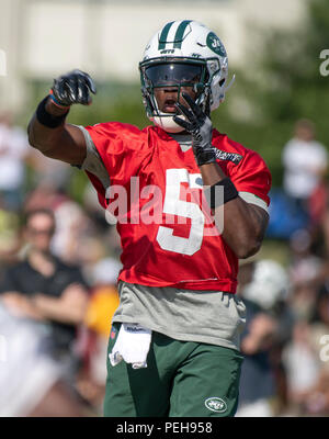 Richmond, États-Unis d'Amérique. Août 14, 2018. New York Jets quarterback Teddy Bridgewater (5) participe à un camp de formation commune pratique avec les Redskins de Washington au Redskins de Washington Bon Secours Centre de formation à Richmond, en Virginie, le Mardi, Août 14, 2018. Credit : Ron Sachs/CNP (restriction : NO New York ou le New Jersey Journaux ou journaux dans un rayon de 75 km de la ville de New York) | Conditions de crédit dans le monde entier : dpa/Alamy Live News Banque D'Images