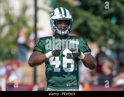 Richmond, États-Unis d'Amérique. Août 14, 2018. New York Jets linebacker Neville Hewitt (46) montre une certaine technique qu'il participe à un camp de formation commune pratique avec les Redskins de Washington au Redskins de Washington Bon Secours Centre de formation à Richmond, en Virginie, le Mardi, Août 14, 2018. Credit : Ron Sachs/CNP (restriction : NO New York ou le New Jersey Journaux ou journaux dans un rayon de 75 km de la ville de New York) | Conditions de crédit dans le monde entier : dpa/Alamy Live News Banque D'Images