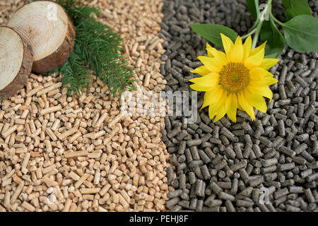 L'énergie renouvelable et les matériaux granulés - faite de tournesols et de pin Banque D'Images