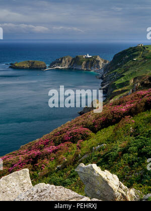 SSE Vue du chemin de l'Upper East Side, Lundy Island, Devon, Royaume-Uni, l'île de Rat (L) & la lumière du sud au-dessus de la Baie d'atterrissage avec Marisco Castle sur la colline du château. Banque D'Images