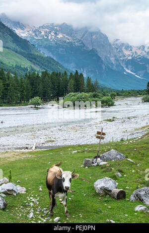 La vallée de la rivière Valbona, partie de la Valbona National Park, dans le nord-est de l'Albanie, Banque D'Images