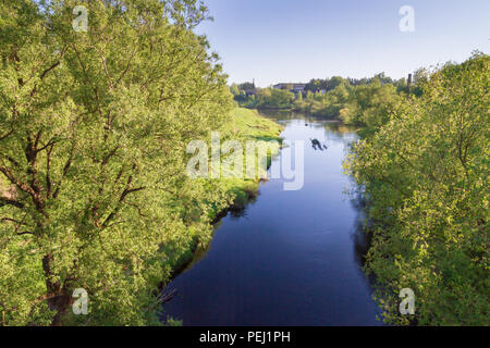 La rivière au printemps avec un épais arbres touffus sur la rive Banque D'Images