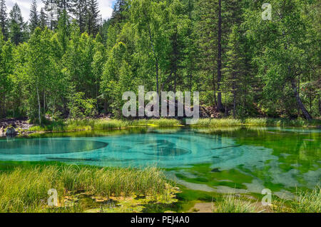 Geyser bleu incroyable Lake dans les montagnes de l'Altaï, en Russie. Lac turquoise unique avec une eau cristalline et circulaire ovale divorces, dont le changement être Banque D'Images