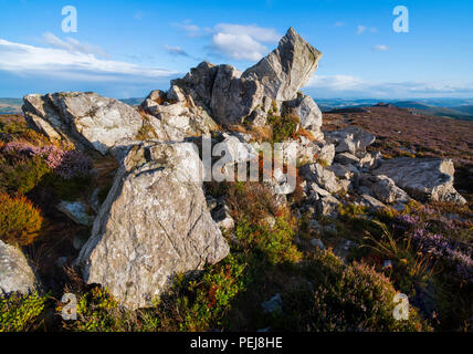 Rocher du Diamant sur la Stiperstones, Shropshire. Banque D'Images