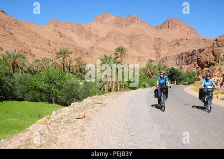 Deux cyclistes rouler le long de la route près de l'oasis village d'Mendassa dans l'Anti-Atlas. Palmiers et plantes prospèrent dans le fond de la vallée irriguée Banque D'Images