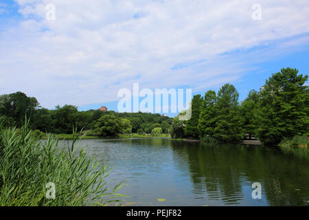 Avis de Harlem Meer face à l'ouest dans le Nord de Central Park, à Manhattan le 4 juillet 2017 à New York, USA. (Photo par Wojciech Migda) Banque D'Images