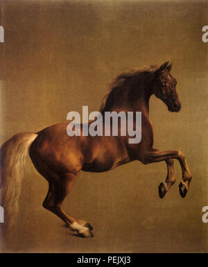 Whistlejacket, Stubbs, George Banque D'Images