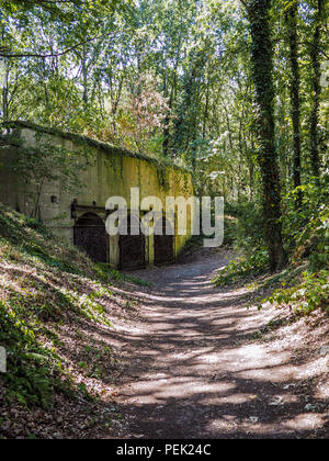 Vieux bunkers avec des galeries souterraines dans la forteresse de Duffel près de Malines, Belgique Banque D'Images